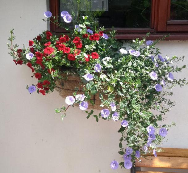 The Palm Guest house Worthing
