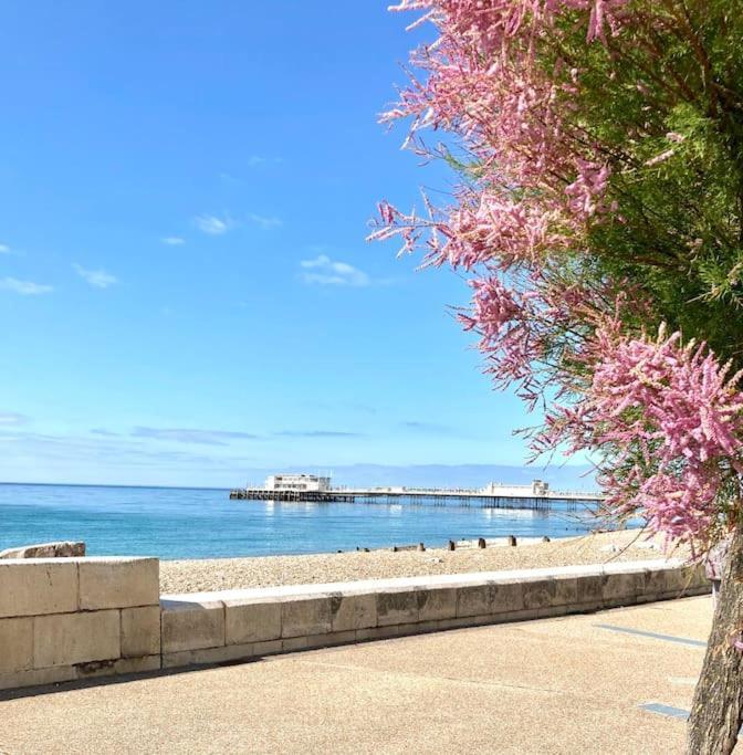 Seaside Snug, By The Beach, In With Parking Apartment *