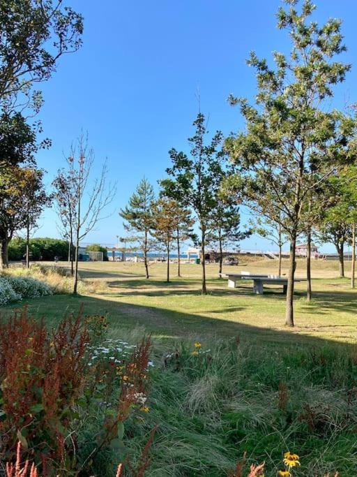 Seaside Snug, By The Beach, In With Parking Worthing