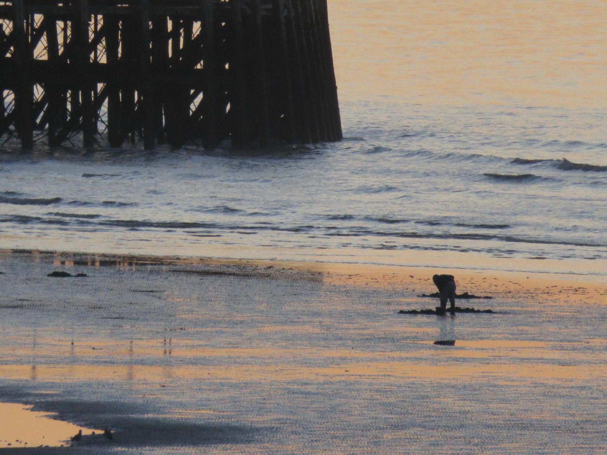 Marine View 3* Worthing